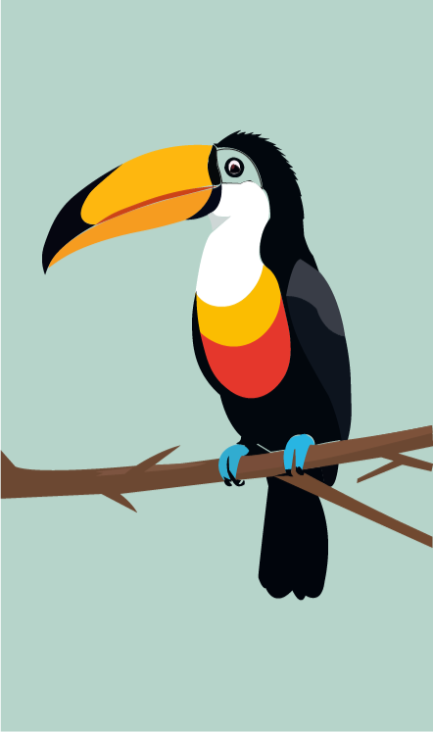 Illustration Designer